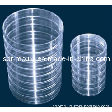 Plastic Injection Mould for The Disposable Plastic Petri Dish Mold